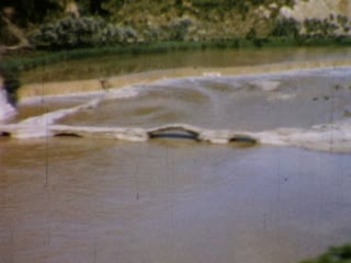 Venice to Rome - Home Movie Clips