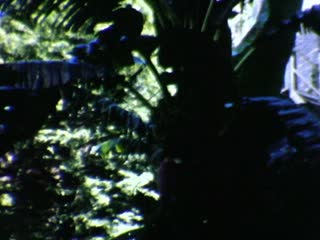 River Walk (Paseo Del Rio) - Home Movie Clips