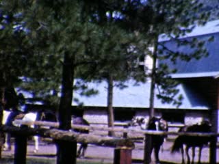 Dude Ranches - Home Movie Clips