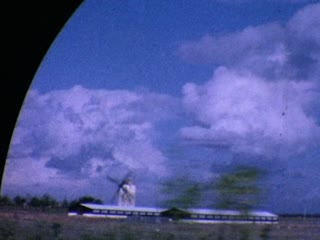 Sheep - Home Movie Clips