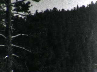 Big Bear - Home Movie Clips