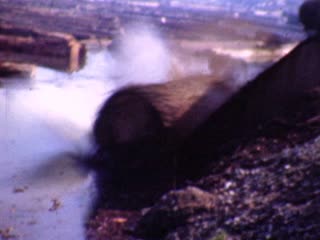 Logging - Home Movie Clips