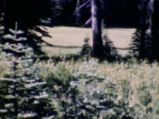 Meadows - Home Movie Clips