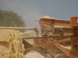 Artemio Bubba - Home Movie Clips