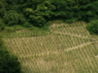 Rhine River - Home Movie Clips