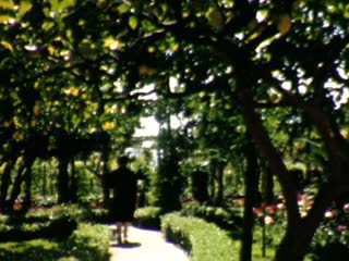 Gardens of Augustus - Home Movie Clips