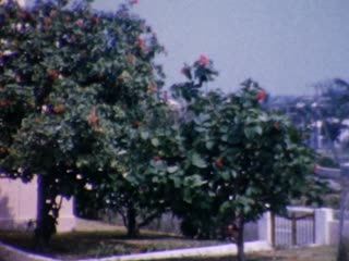 Hotel St. George - Home Movie Clips