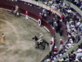 Tecate Advertising - Home Movie Clips