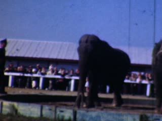 Training - Home Movie Clips