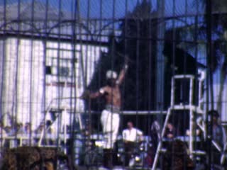 Panthers - Home Movie Clips