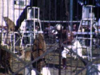 Damoo Dhorte - Home Movie Clips