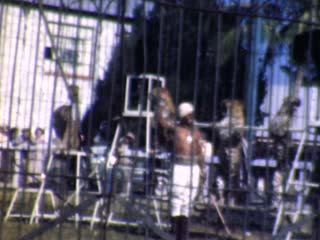 Circus - Home Movie Clips