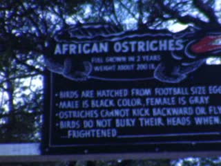 St. Augustine - Home Movie Clips