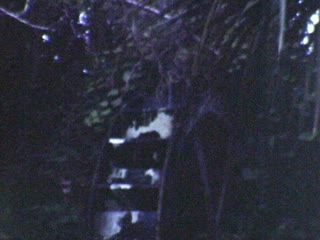 Fountain of Youth - Home Movie Clips