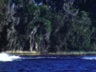 Theme Parks - Home Movie Clips