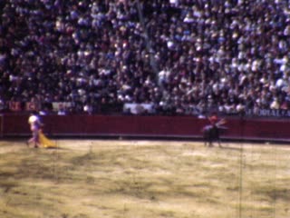 Bullfighting - Home Movie Clips
