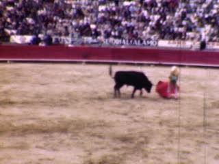 Bullfights - Home Movie Clips