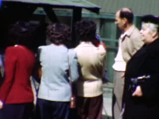 Owls - Home Movie Clips