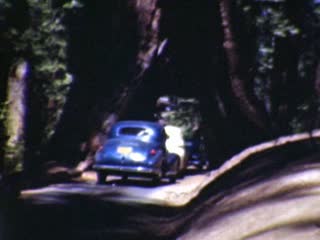 Wawona Tree - Home Movie Clips