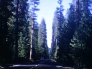 Redwood National Park - Home Movie Clips