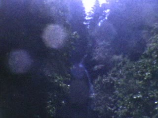 Mount Hood National Forest - Home Movie Clips