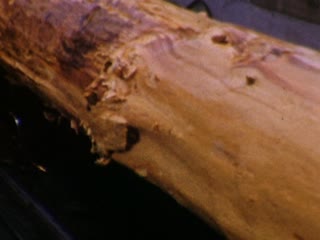 Lumbermills - Home Movie Clips