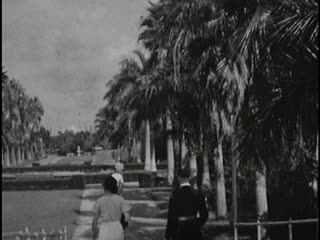 Bayfront Park - Home Movie Clips