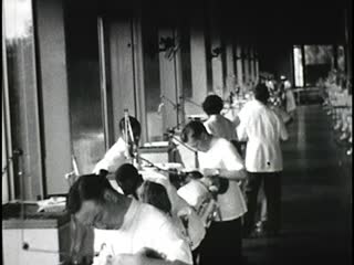 Dentists - Home Movie Clips