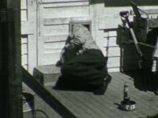 Dog Door - Home Movie Clips