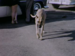 Airfields - Home Movie Clips