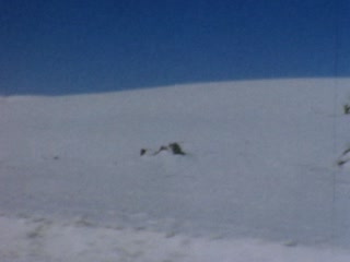 New Mexico - Home Movie Clips