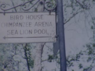 Drinking Fountains - Home Movie Clips