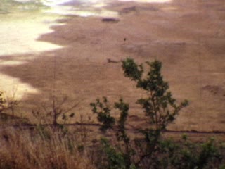 1970 - Home Movie Clips