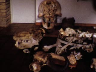 Bones - Home Movie Clips