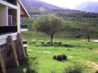 Ngulia Safari Lodge - Home Movie Clips