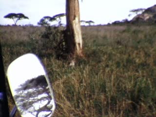 Tsavo West National Park - Home Movie Clips