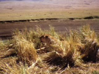 Tanzania - Home Movie Clips