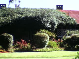 Outspan Hotel - Home Movie Clips