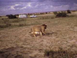 African Savanna - Home Movie Clips
