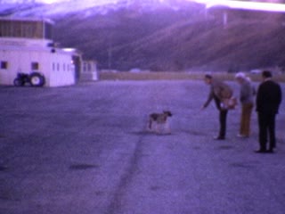 DH-6 Twin Otter - Home Movie Clips