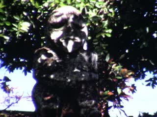 Tikis - Home Movie Clips