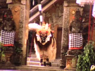 Temples - Home Movie Clips