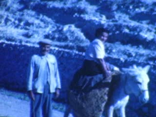 Herding - Home Movie Clips