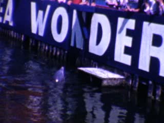 Deep Sea Wonder - Home Movie Clips