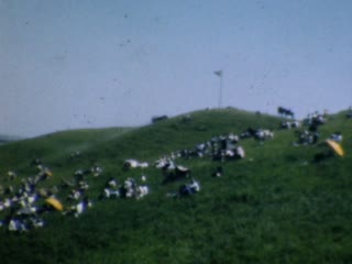 Airplanes_Private - Home Movie Clips