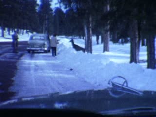 Roadside - Home Movie Clips