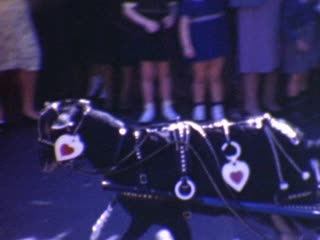 Marquee - The Prince of Thieves - Home Movie Clips