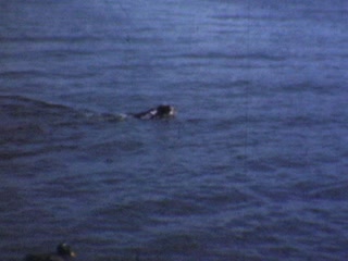 Hunting - Home Movie Clips