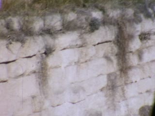 Eleusis - Home Movie Clips