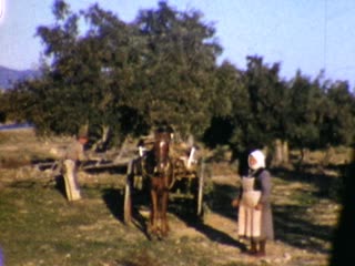 Carts - Home Movie Clips